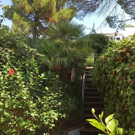 Casa Phoebe *